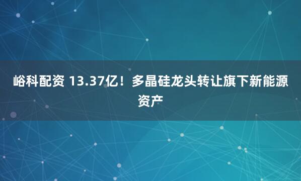 峪科配资 13.37亿!多晶硅龙头转让旗下新能源资产