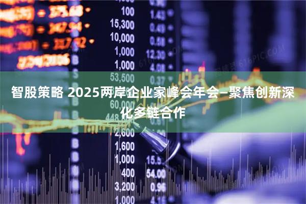智股策略 2025两岸企业家峰会年会—聚焦创新深化多链合作