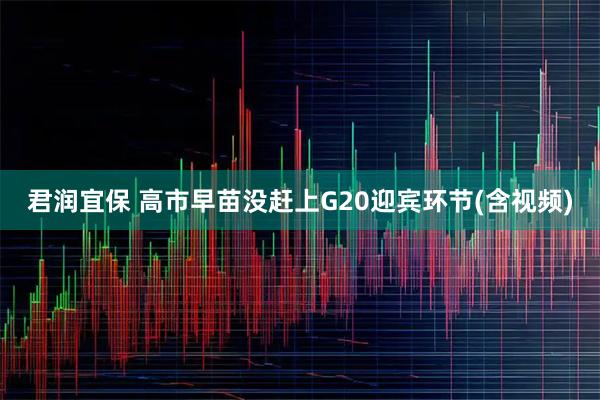 君润宜保 高市早苗没赶上G20迎宾环节(含视频)