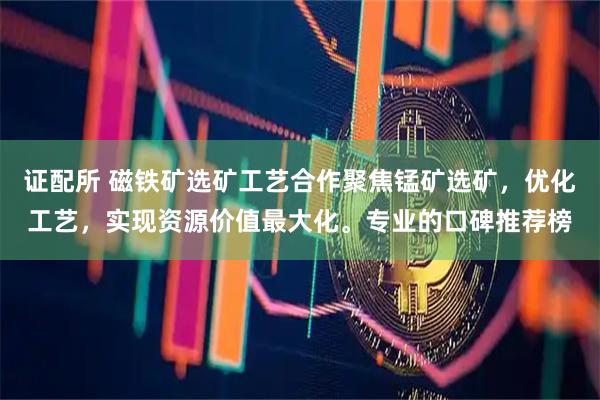 证配所 磁铁矿选矿工艺合作聚焦锰矿选矿，优化工艺，实现资源价值最大化。专业的口碑推荐榜